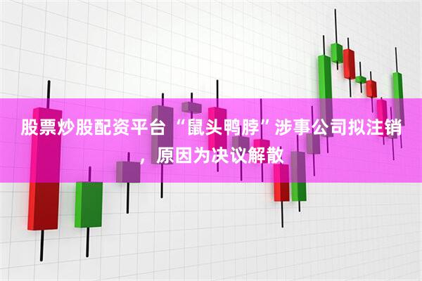 股票炒股配资平台 “鼠头鸭脖”涉事公司拟注销，原因为决议解散
