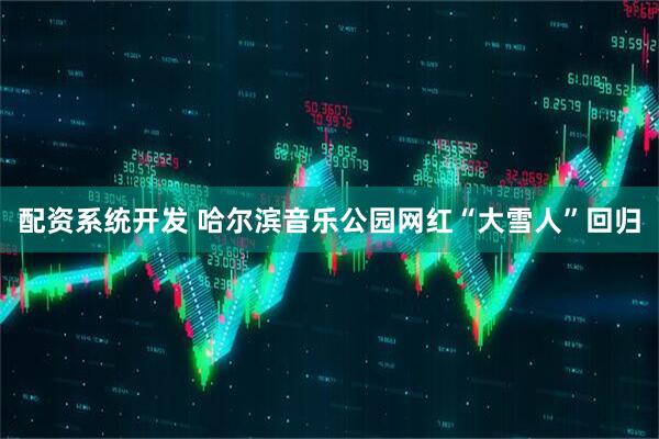 配资系统开发 哈尔滨音乐公园网红“大雪人”回归